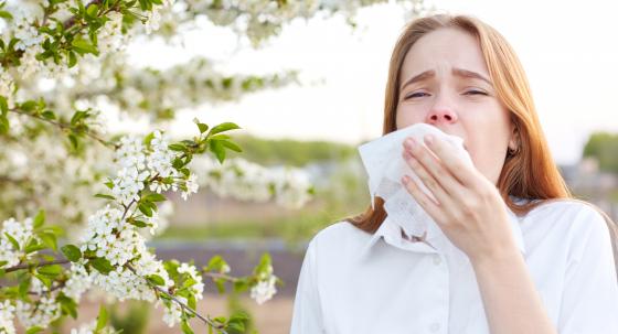 Allergie Pollen