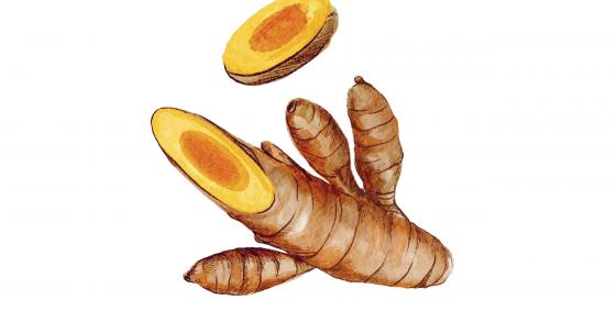 Kurkuma