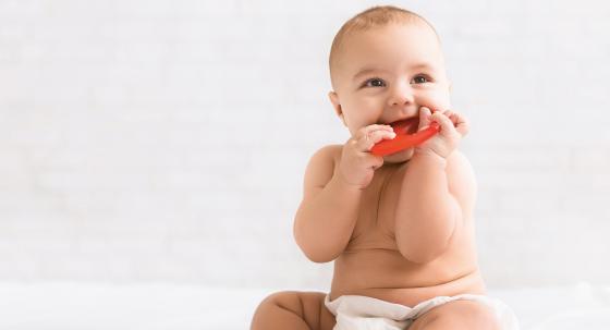 Babys zahnen