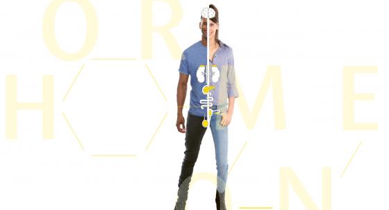 Hormone