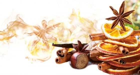 Aromatherapie - alles dufte(t)